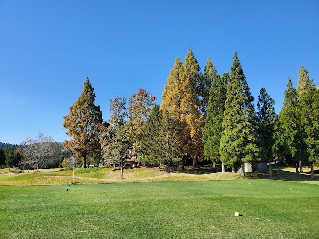 JOYX Golf Club Kozuki Course - Photo 6