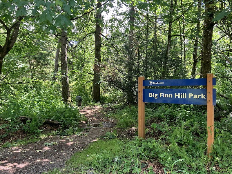 Big Finn Hill Park photo 2