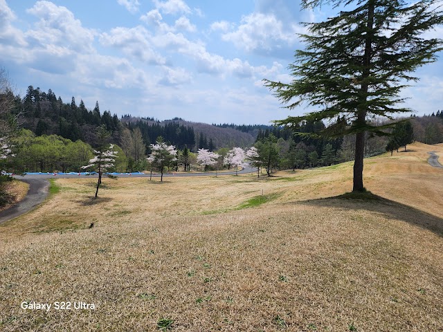 Shinjo Arden Golf Club - Photo 9
