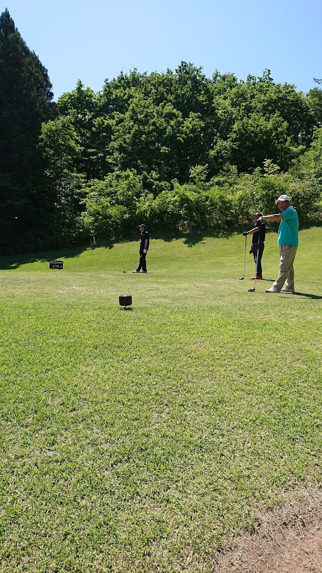 Shinjo Arden Golf Club - Photo 10