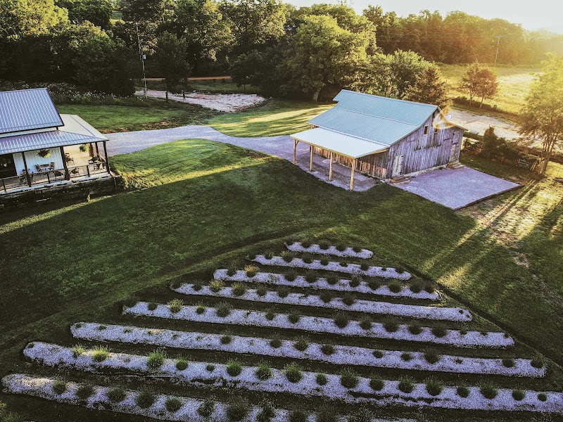 La Grange Lavender Company photo 1