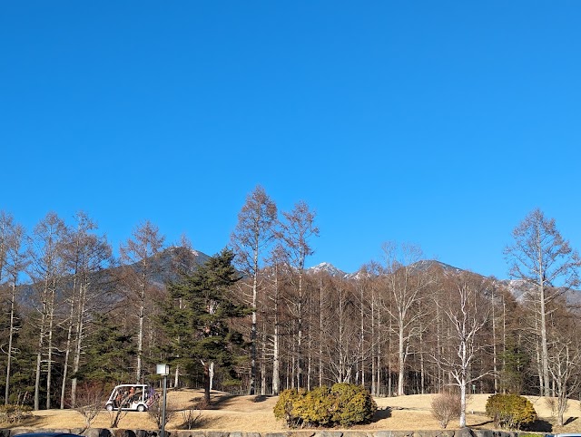 Kobuchisawa Country Club - Photo 10