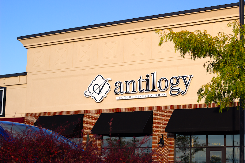 Antilogy photo 1