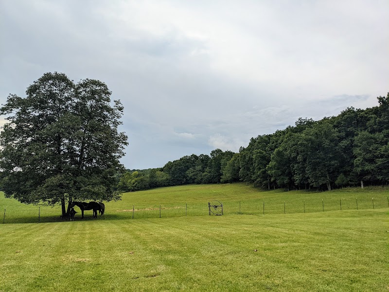 Koinania Valley Ranch Family Resort - Photo 3