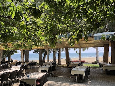 Söğütlüpınar Balık Restaurant - Restoran