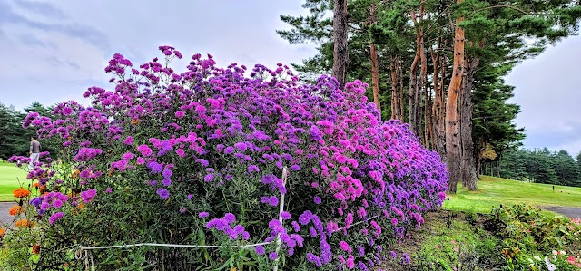 Hachimantai Country Club - Photo 10