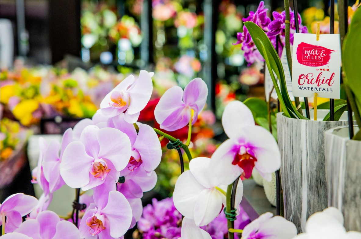 BLOOMS by H-E-B: Google Places image 2