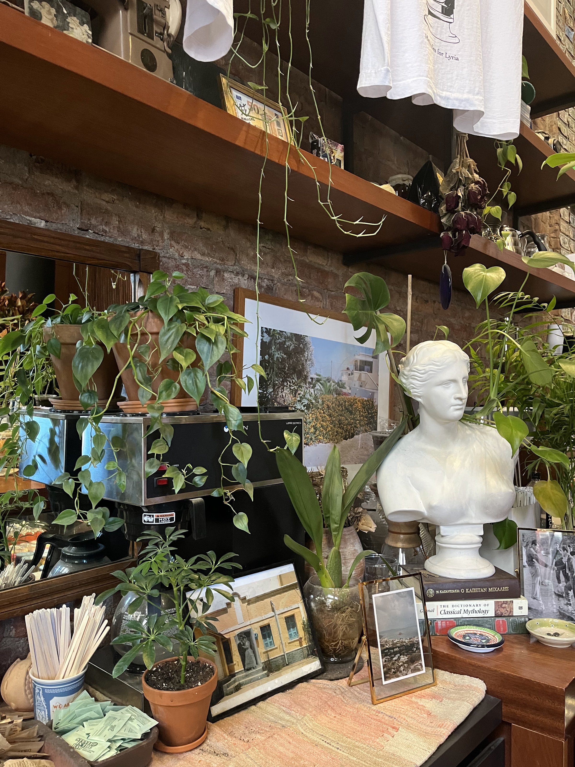 Café Lyria - Photo 3