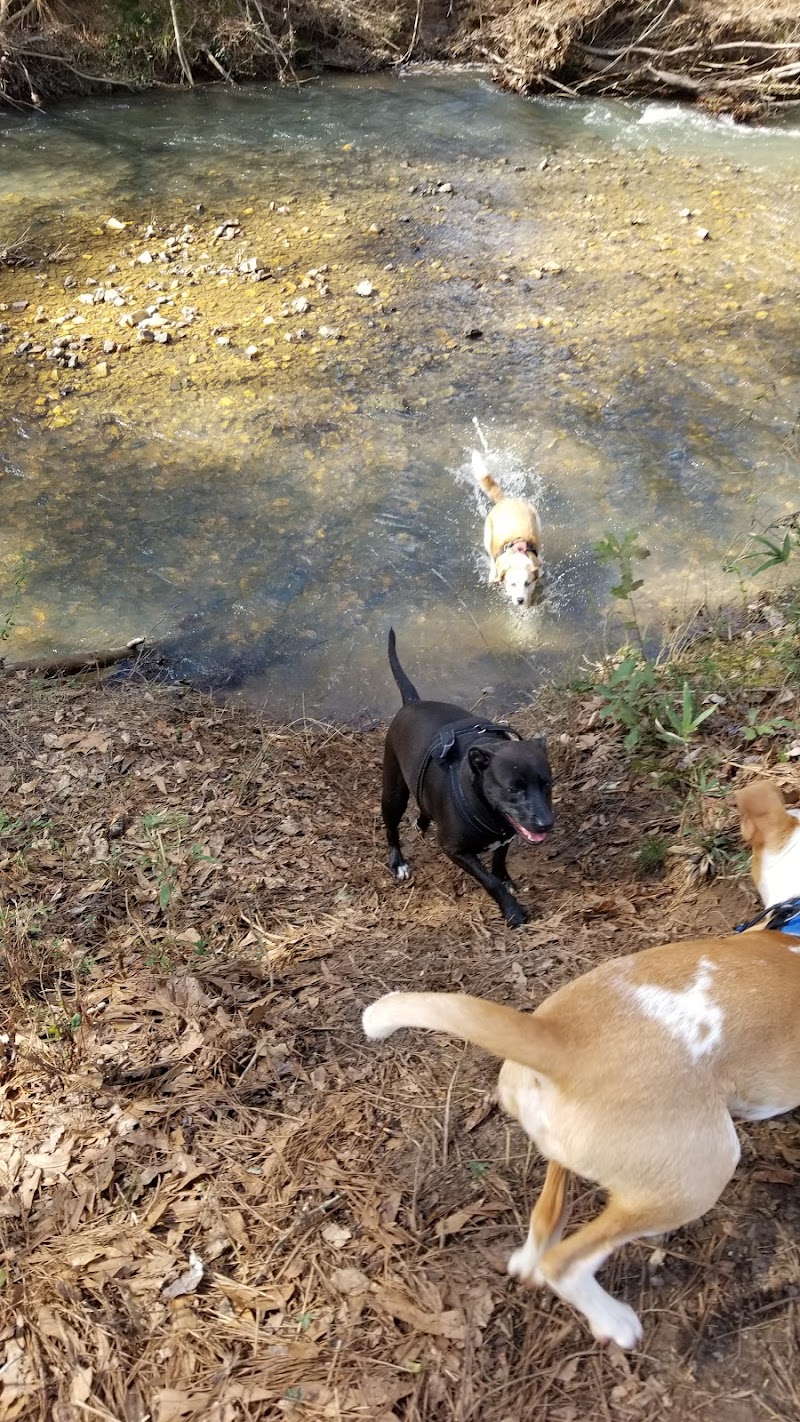 Indian Creek Park photo 4