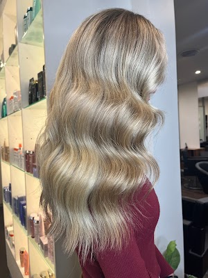 Zink The Element of Hair- Norwood photo 3