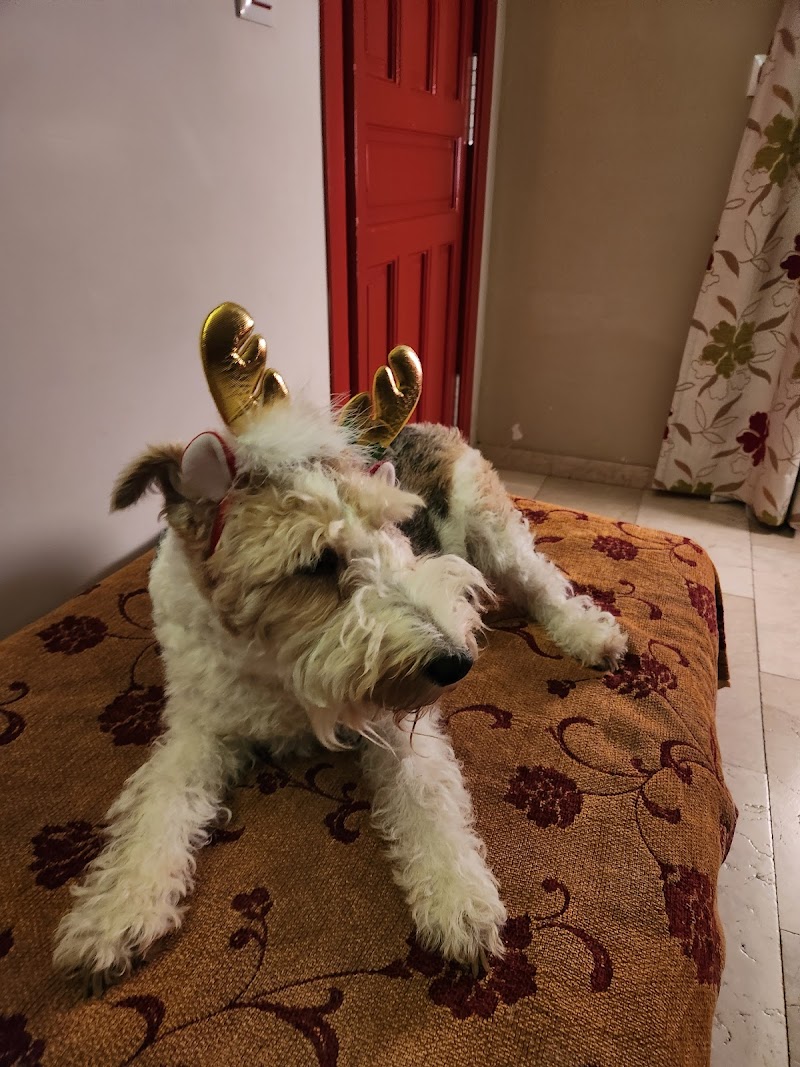 Centro Veterinario Doctor Animal