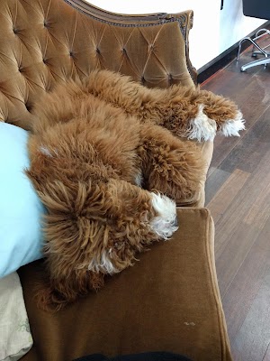 Hair Lounge Cut Colour Style