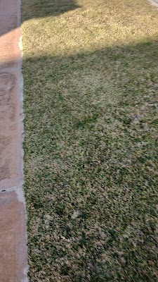 Armandos Ladies And Gents Hairdresser photo 2