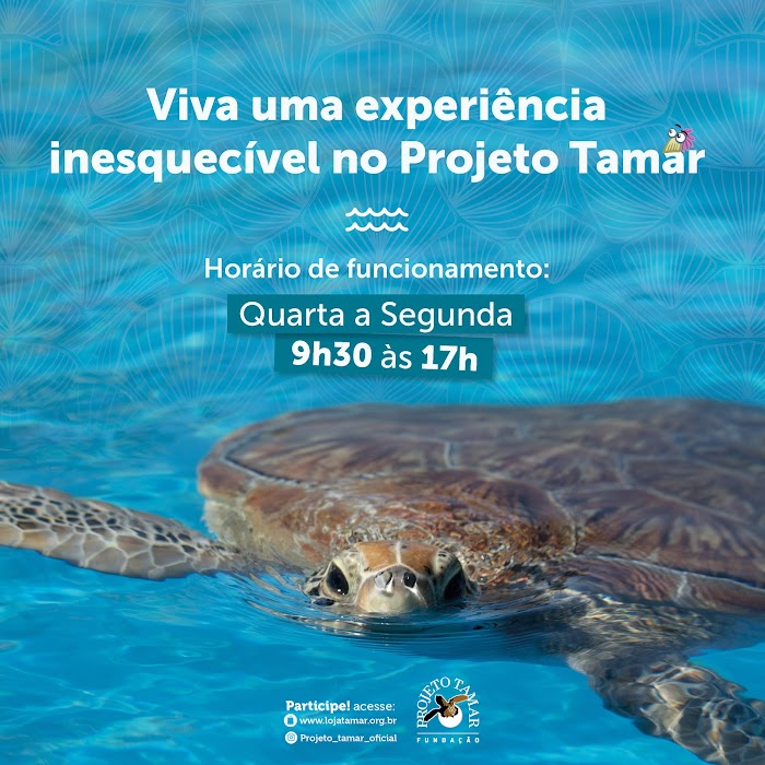 Fundação Projeto Tamar - Florianópolis fotoğraf 1