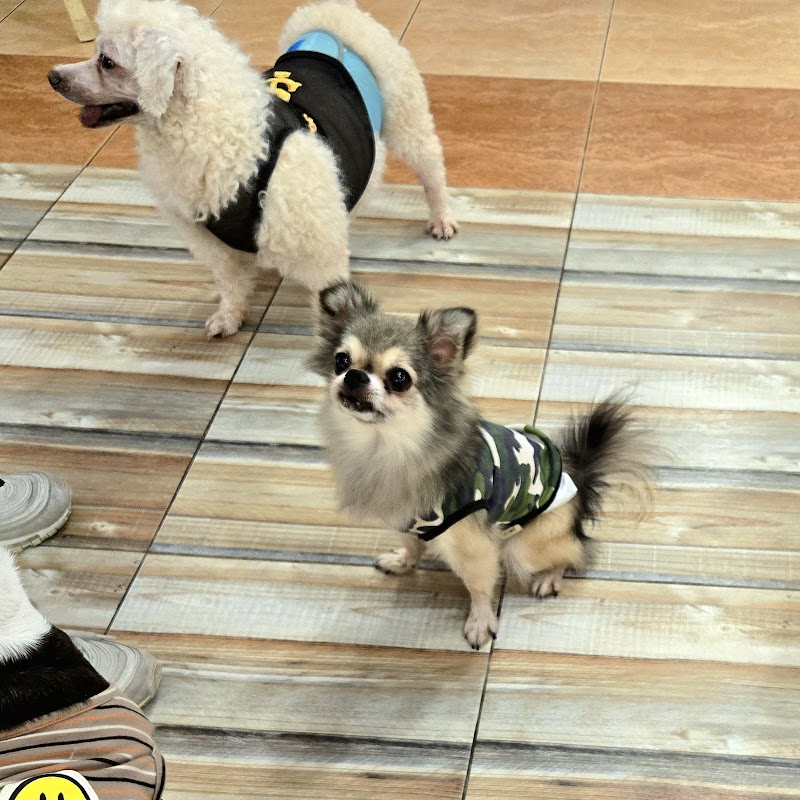 멍프탑 사진 3