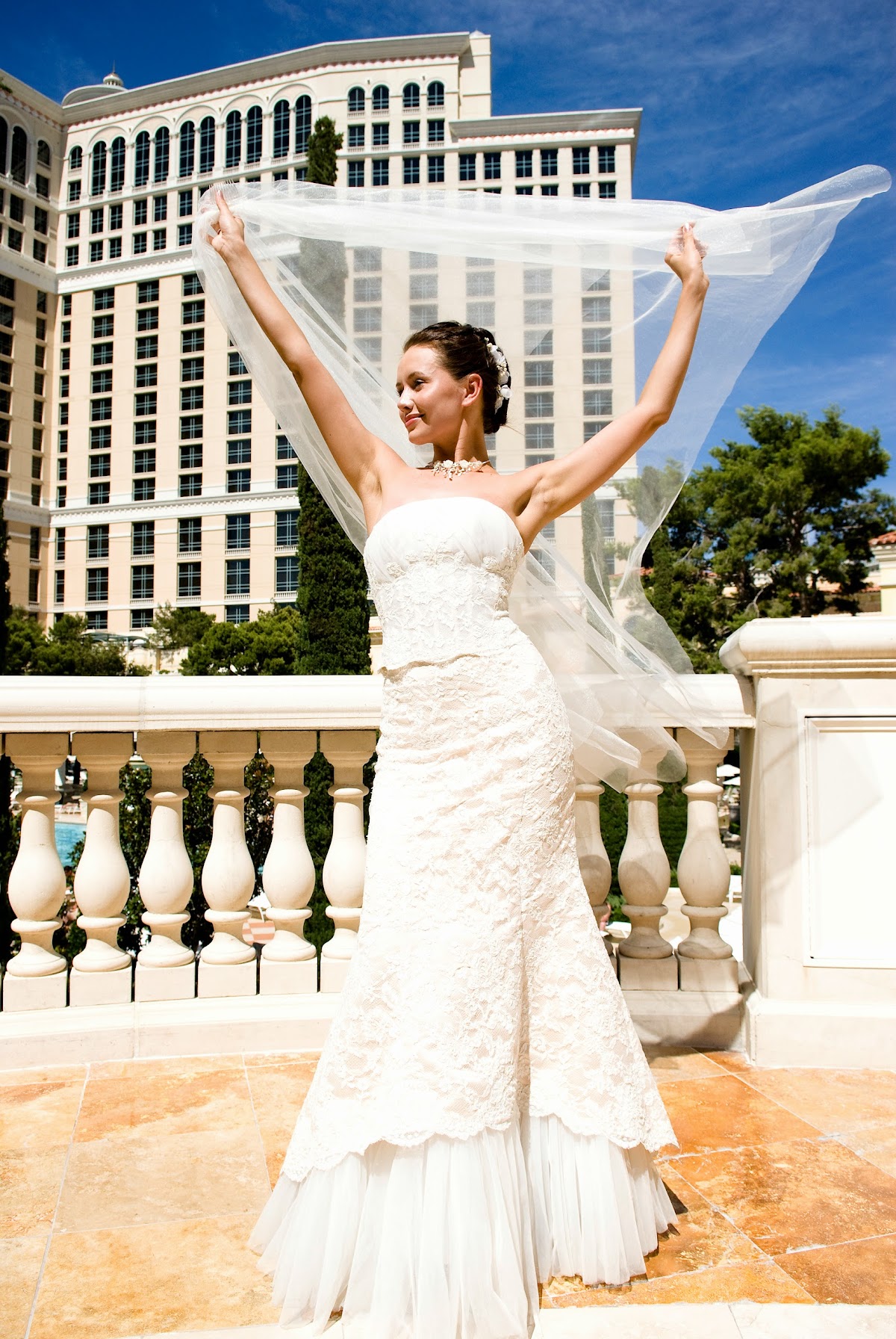 Stacey Adams Photography: Google Places image 2