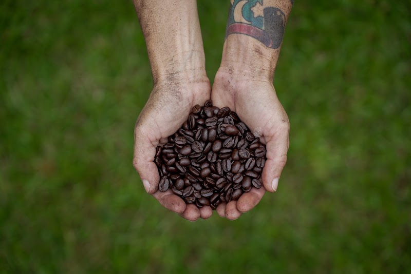 Hilo Coffee Mill photo 3