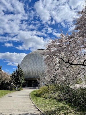 Stiftung Planetarium Berlin