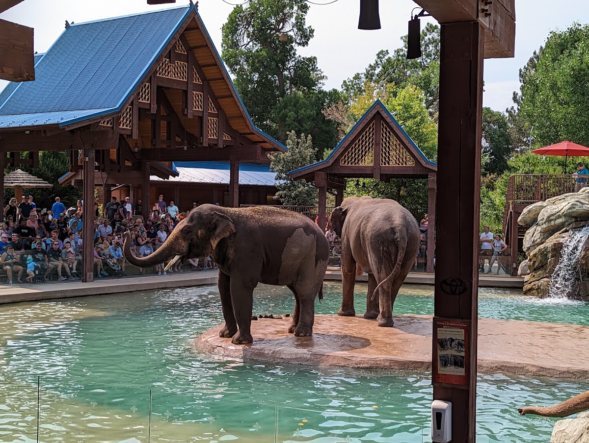 Denver Zoo