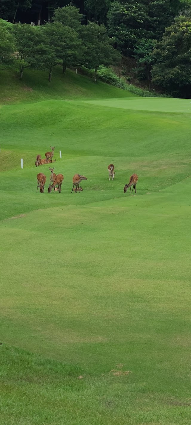 Yamaguchi Rainbow Hills Kanmon Kikugawa Golf Club - Photo 6