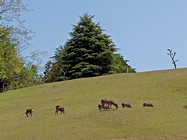 Yamaguchi Rainbow Hills Kanmon Kikugawa Golf Club - Photo 9