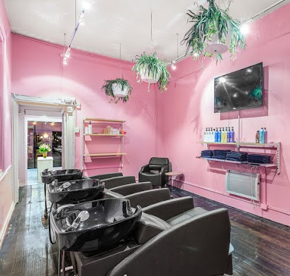 XVI Collective photo 2