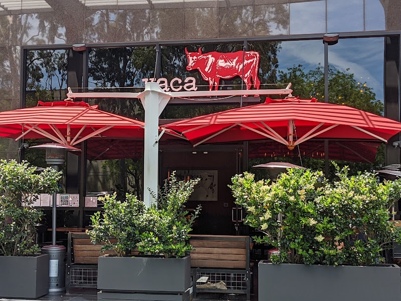 Vaca Costa Mesa