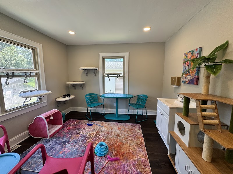 Whiskerville Kitty Cat Cafe