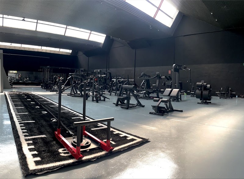 MAXGYM | Gimnasio en Estella