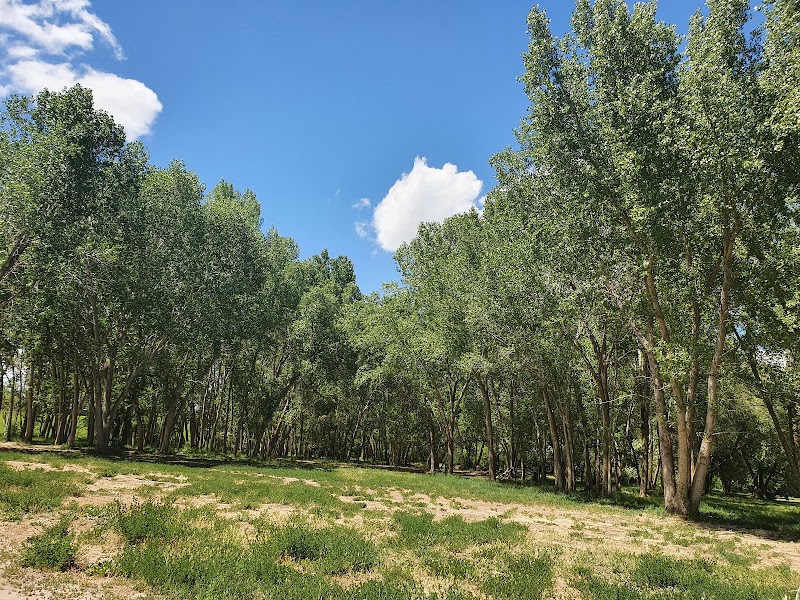 Big Cottonwood Regional Park - Creekside Park photo 5