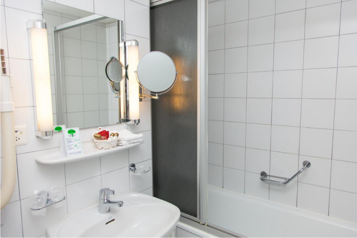 Le Montbrillant Hôtel Residence, dog-friendly hotel, photo 2