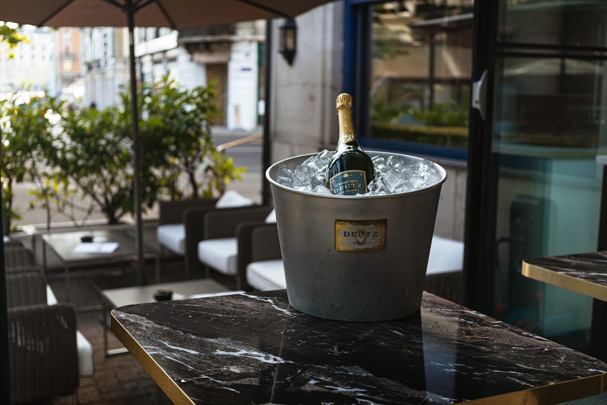 Le Montbrillant Hôtel Residence, dog-friendly hotel, photo 5