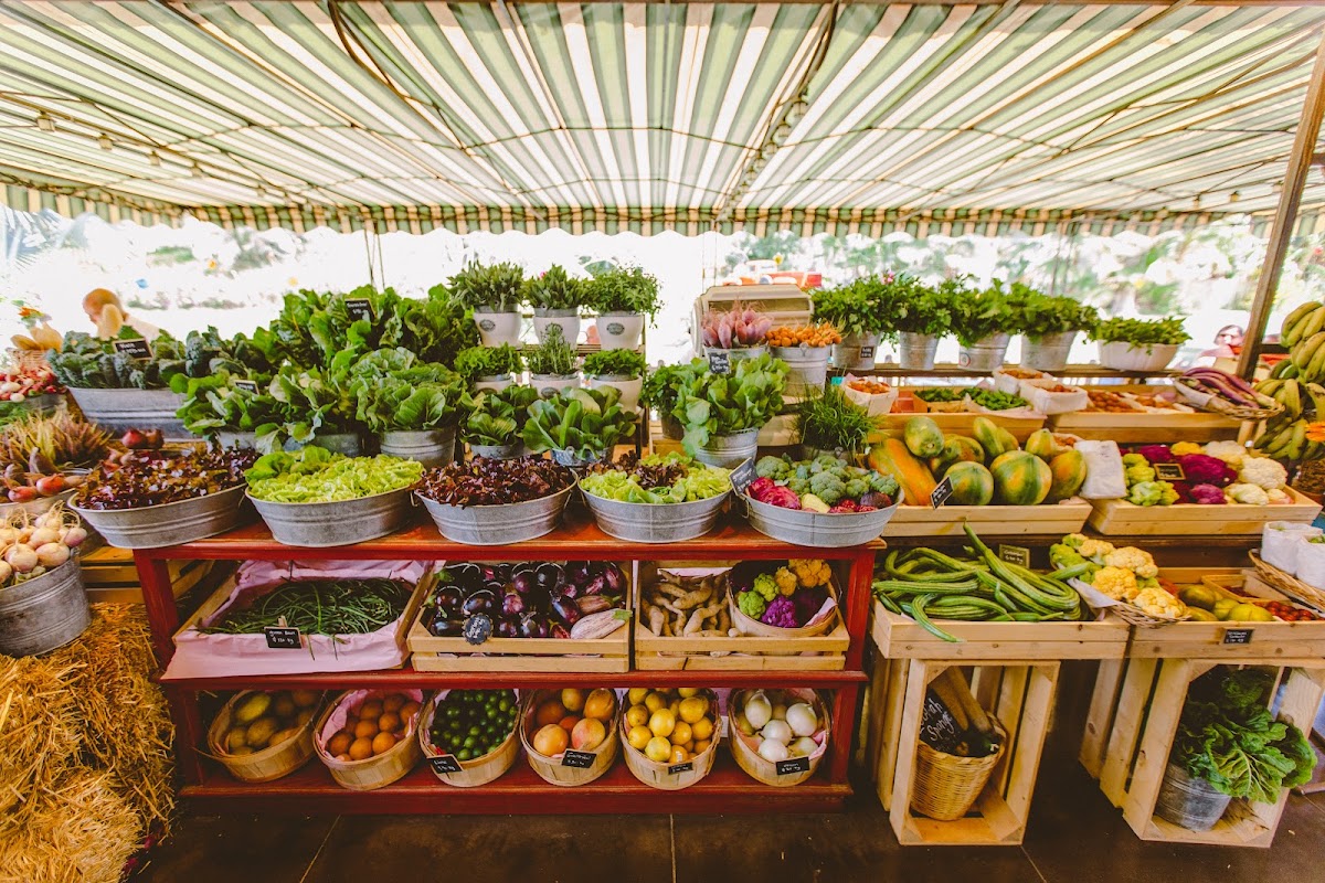 Flora Farms in cabo-san-lucas