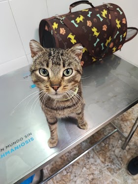 Clínica Veterinaria Fuenfresca