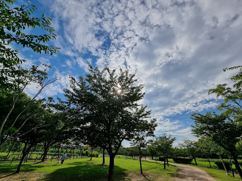 을숙도 사진 5