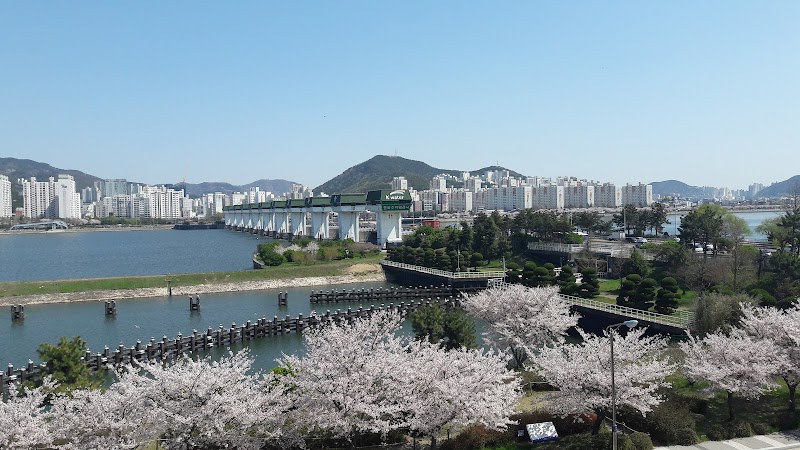 을숙도 사진 4