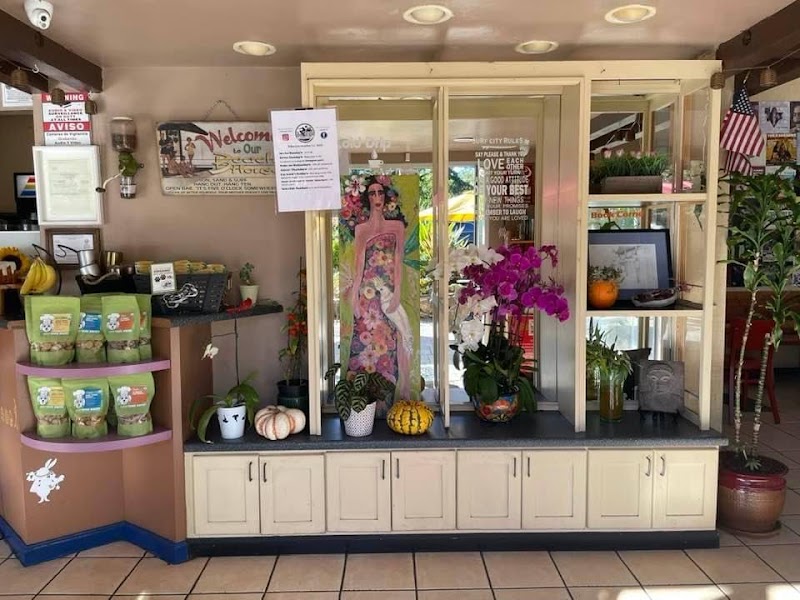 California Coffee photo 1