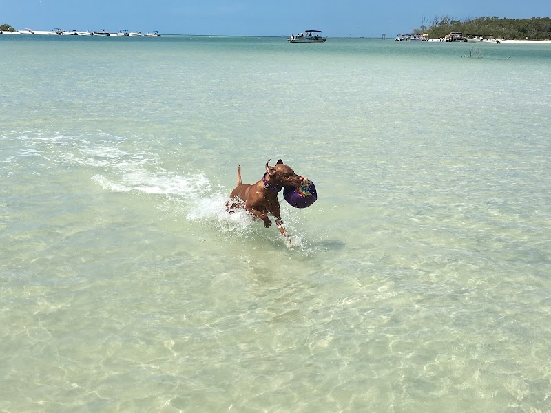 Bonita Beach Dog Park in Fort Myers