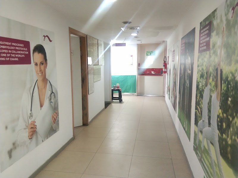 Gallery 4