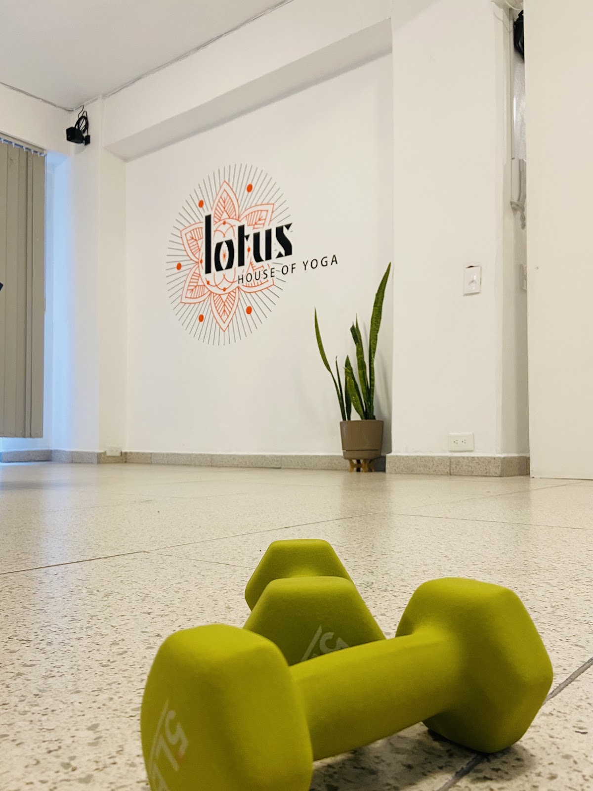 Lotus House of Yoga México — 4
