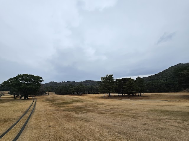 Bridgestone Country Club - Photo 2