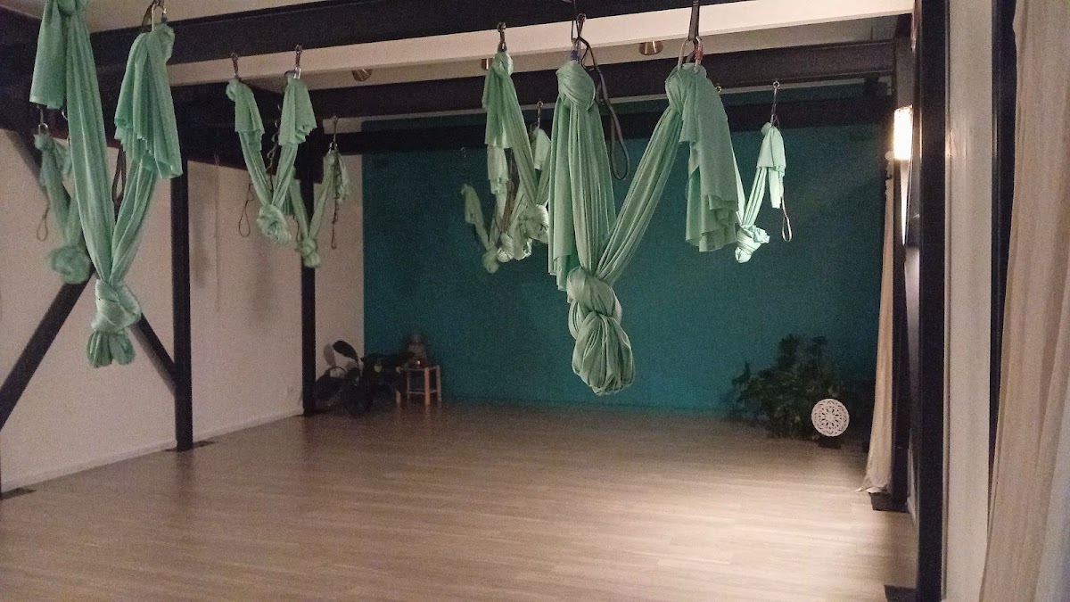 Flow State Studio Blue Mountains — 4
