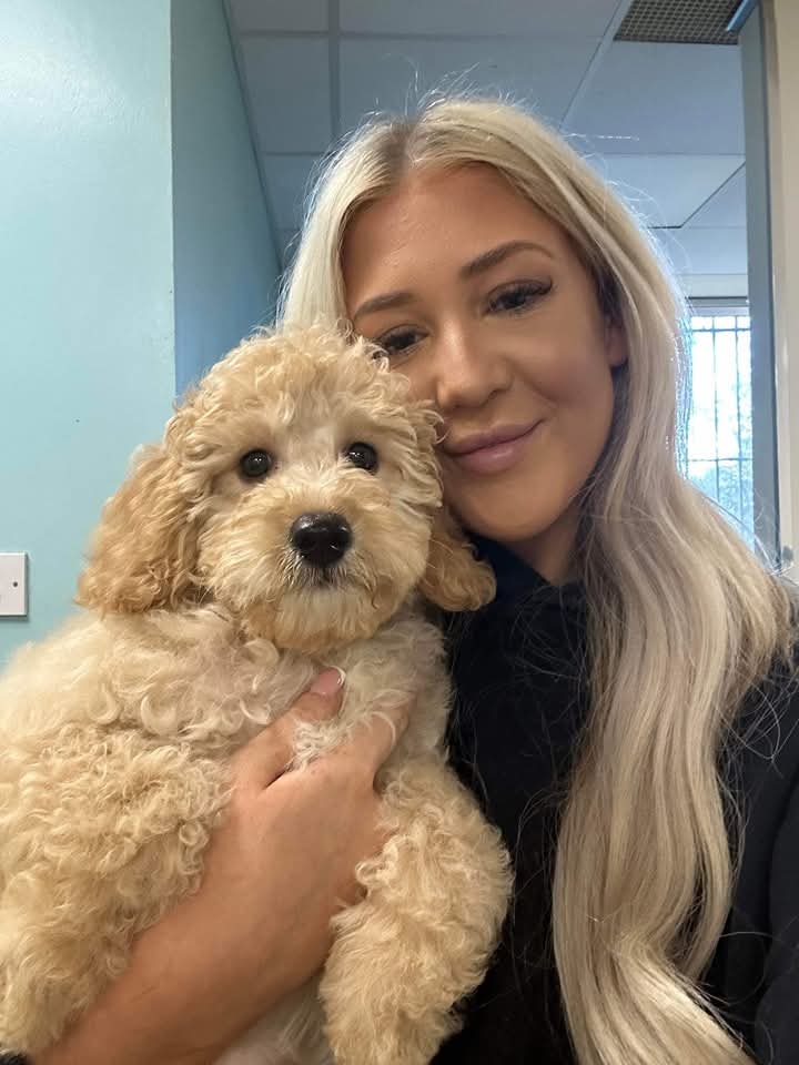 Edinburgh Dog Groomers