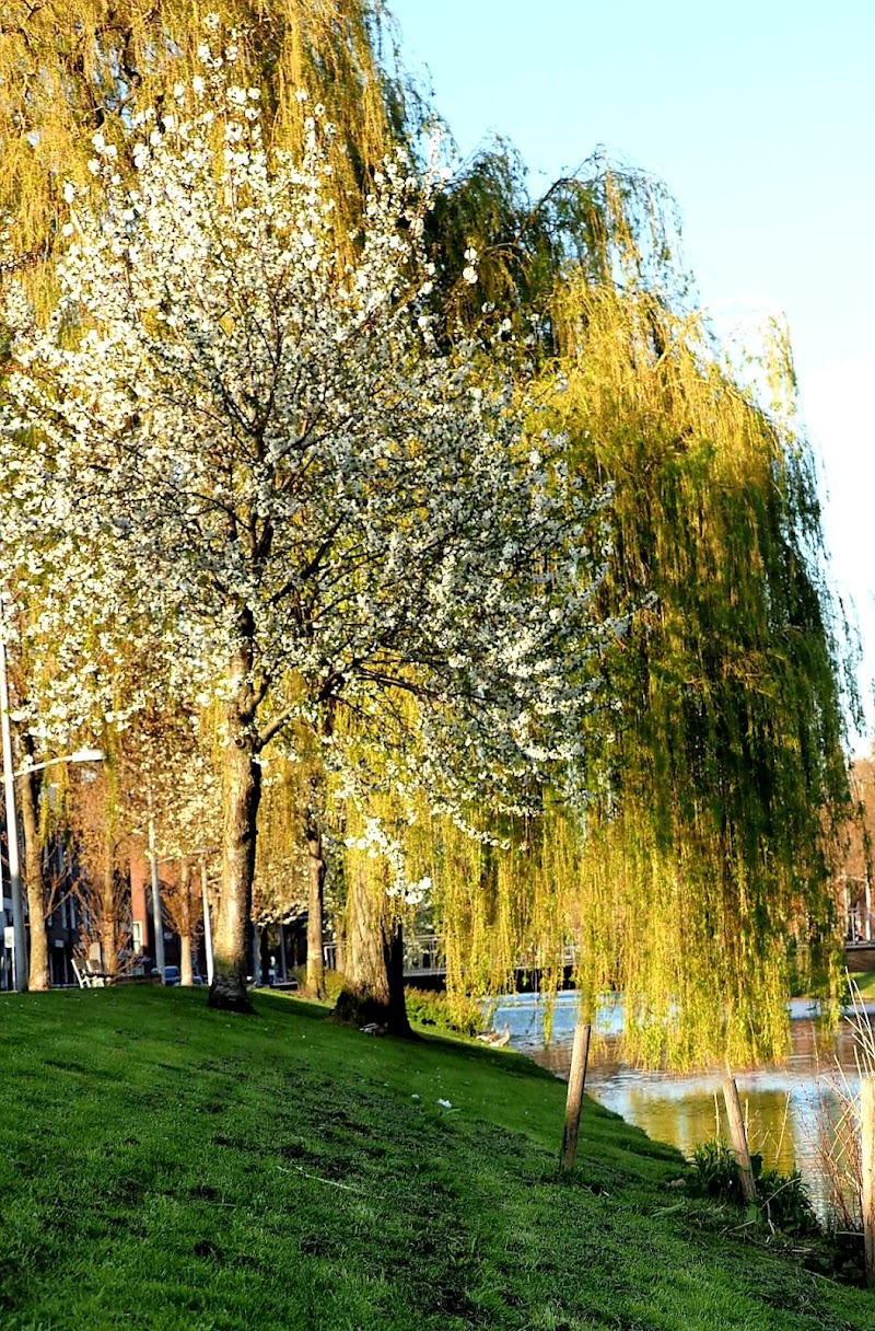 Bloemhof