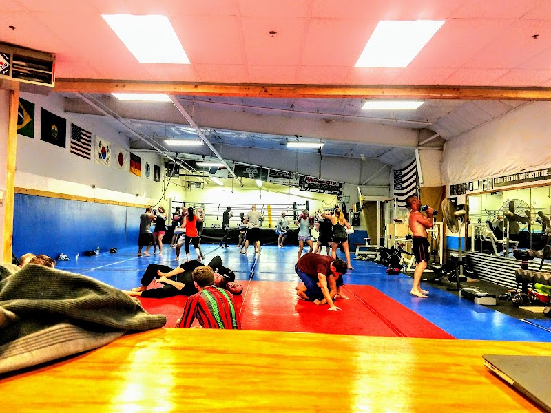 United Fighting Arts Institute, LLC