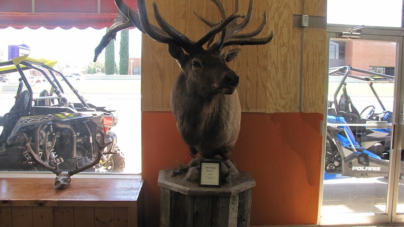 Gila Outdoors photo
