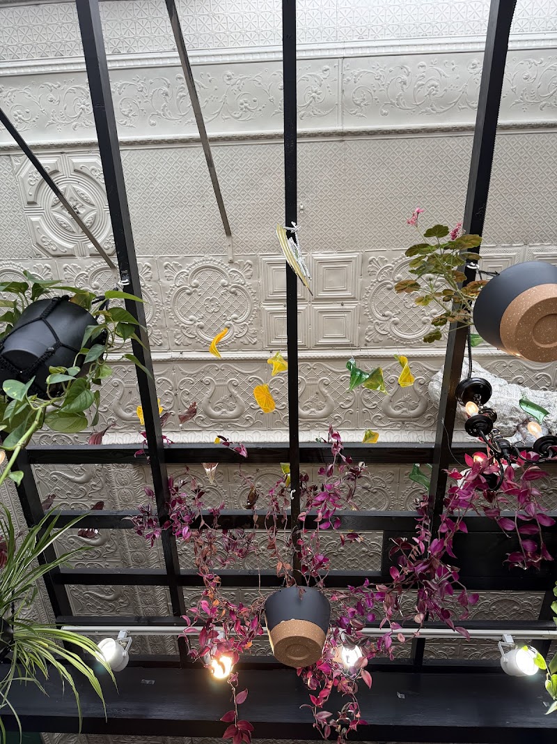 Middle Ground Books photo 4