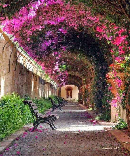 Jardines de Monforte fotoğraf 1