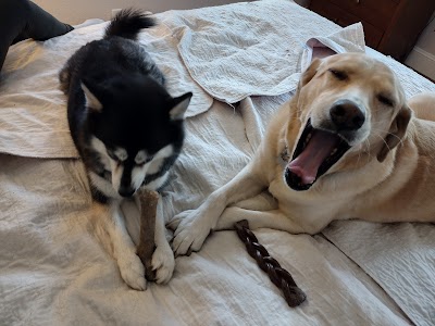 Val's Pals Pet Sitting