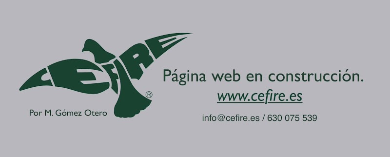 CEFIRE - Viveiro (Fisioterapia) photo 1